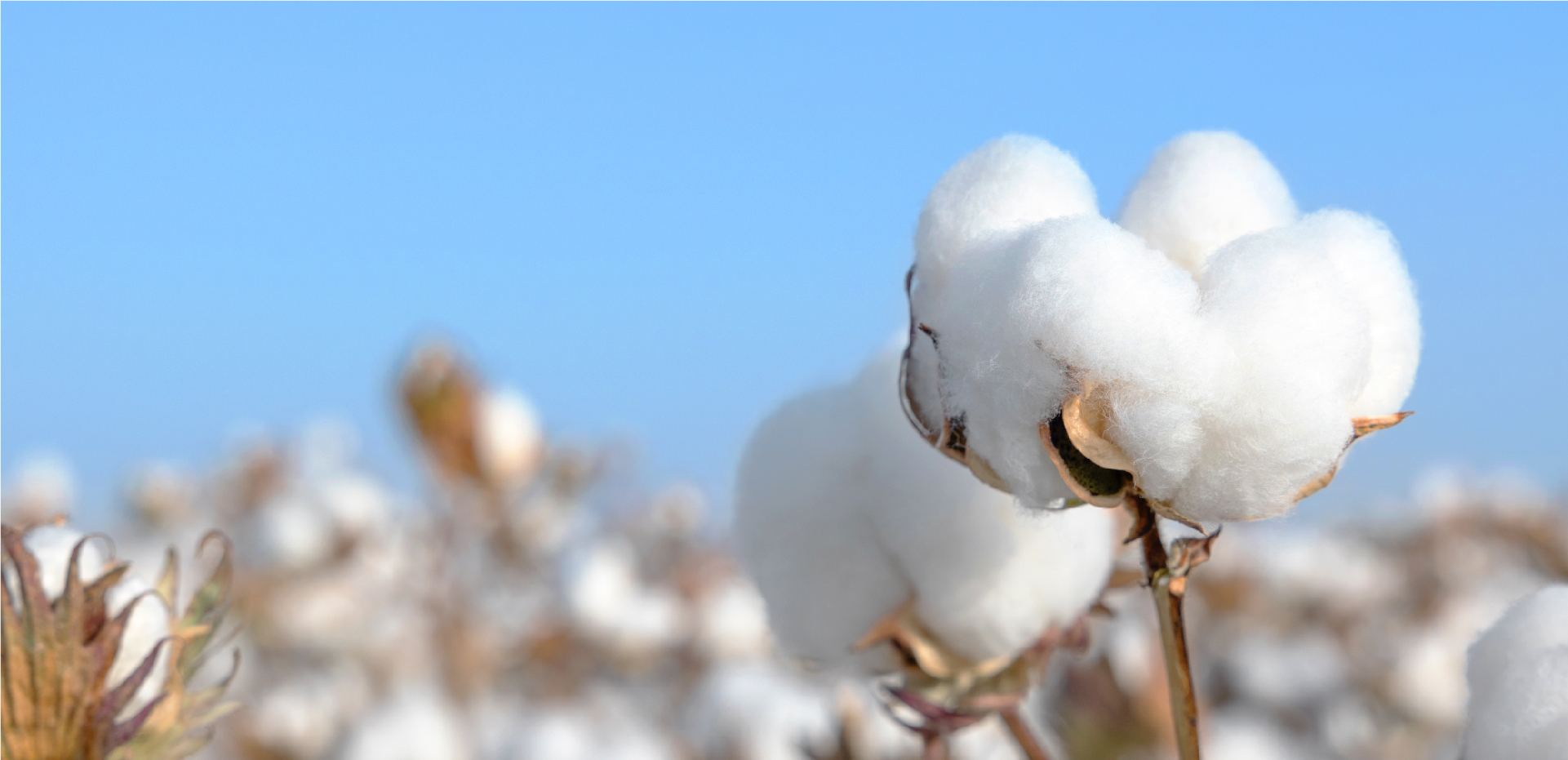 һͼ��������ϣ��williamhill�ٷ���վ����2023���ESG����